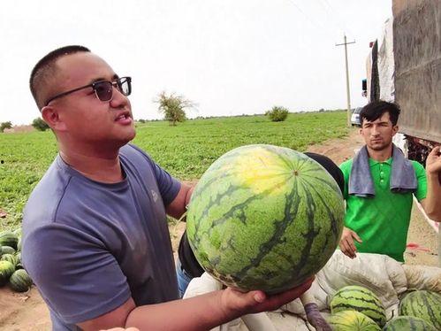 永康吃瓜最新事件爆料新闻,最新爆料揭露惊人内幕